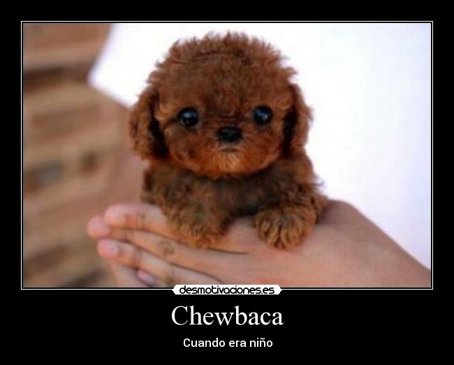 Chewbaca - Cuando era niño