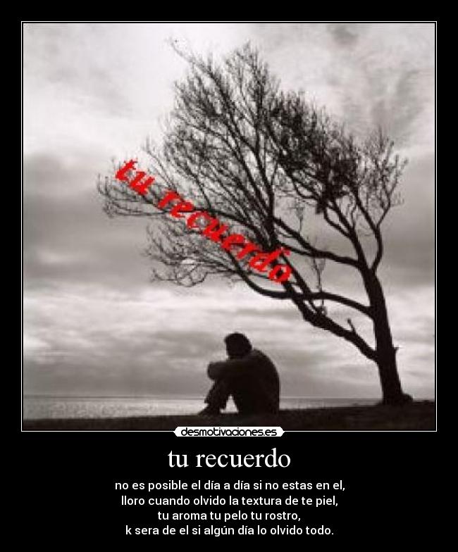 tu recuerdo -