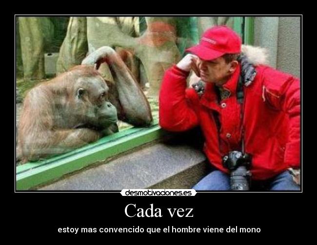 Cada vez - estoy mas convencido que el hombre viene del mono