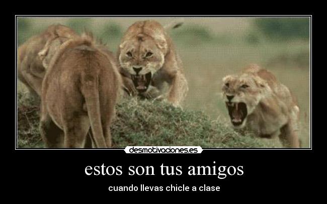 estos son tus amigos -