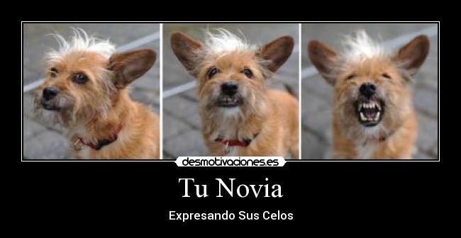 Tu Novia - Expresando Sus Celos