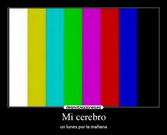 Mi cerebro - 