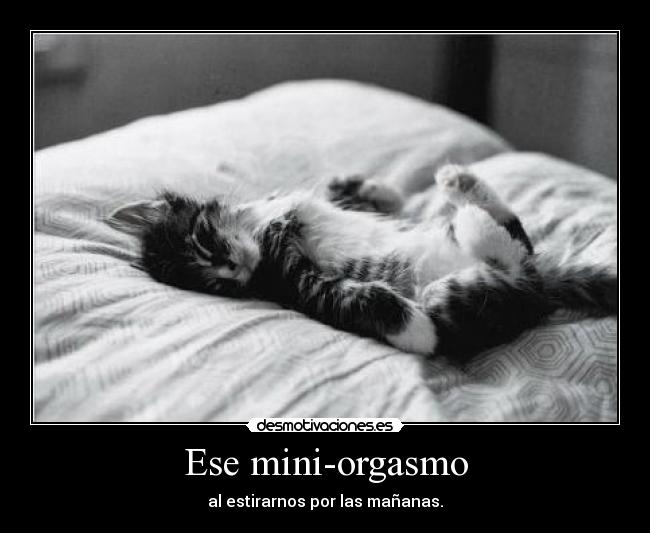 Ese mini-orgasmo - al estirarnos por las mañanas.