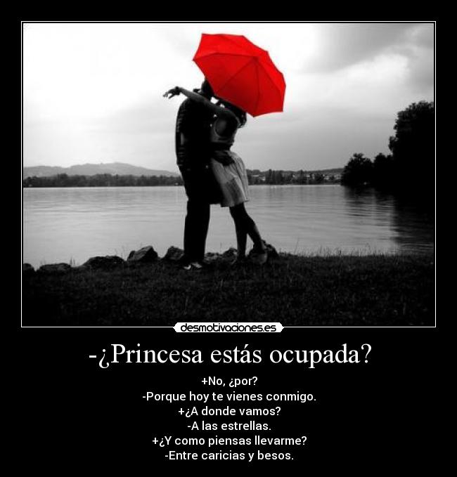 carteles princesa desmotivaciones