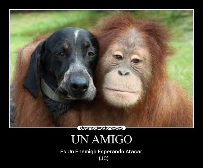 UN AMIGO - 