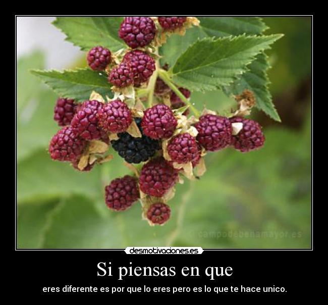 Si piensas en que - eres diferente es por que lo eres pero es lo que te hace unico.