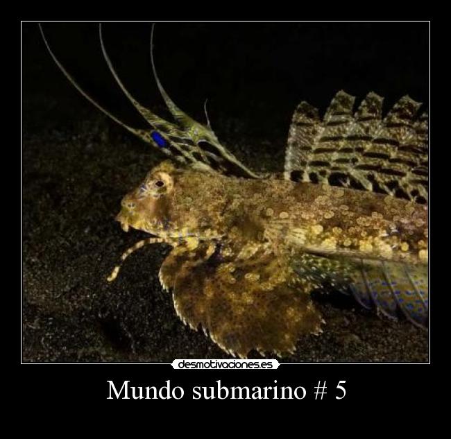 Mundo submarino # 5 - 