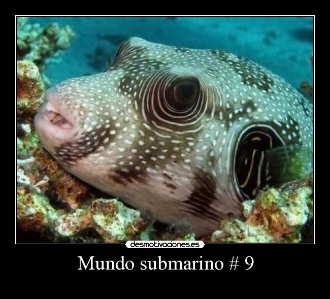 Mundo submarino # 9 - 
