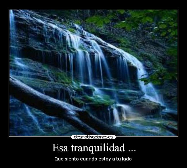 Esa tranquilidad ... - 