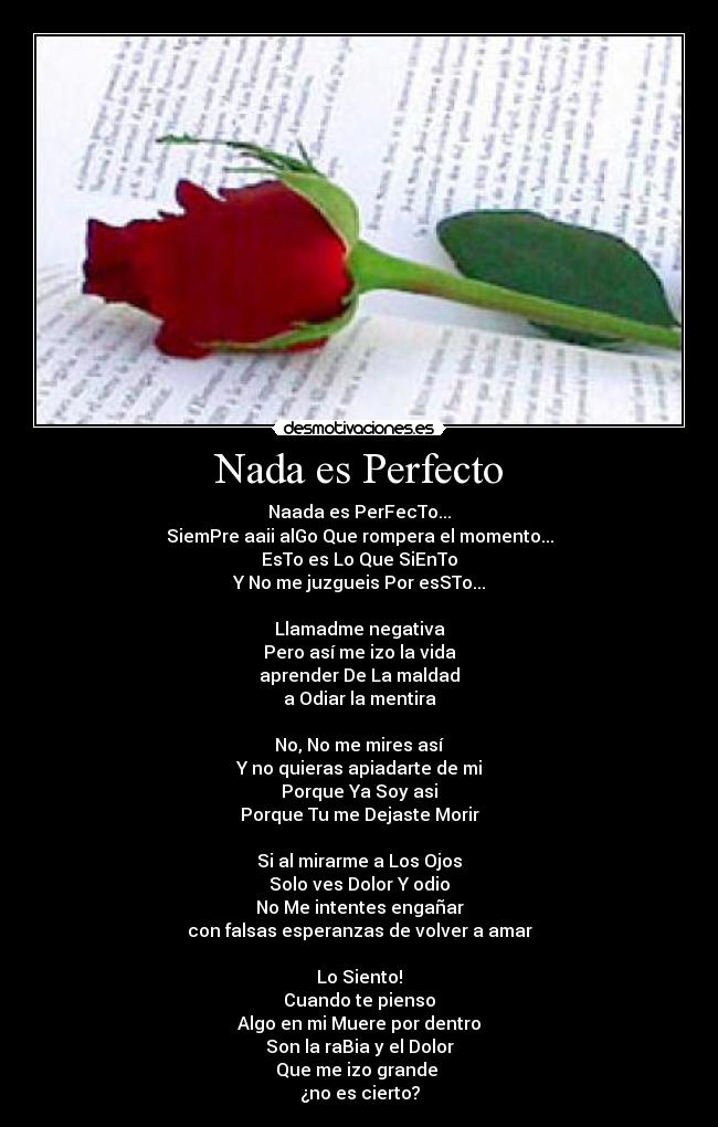 Nada es Perfecto -