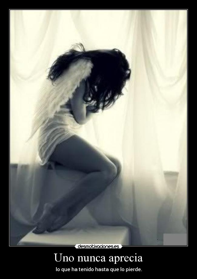 Uno nunca aprecia -