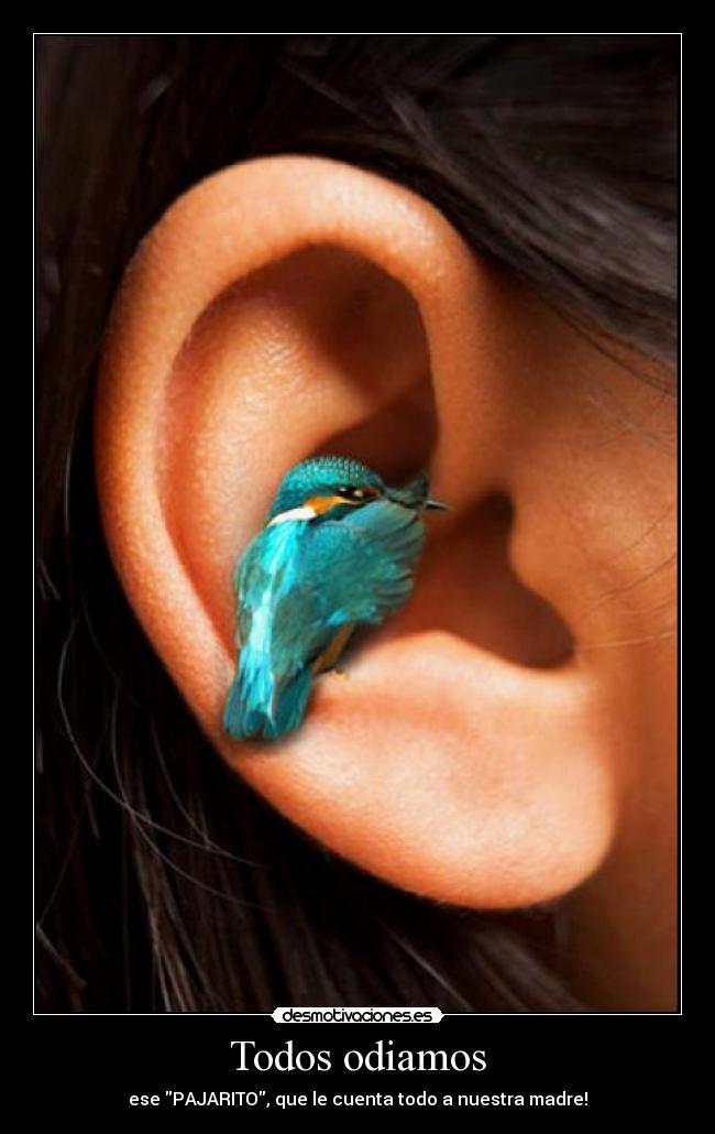 Todos odiamos - ese PAJARITO, que le cuenta todo a nuestra madre!