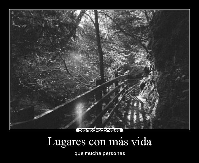 Lugares con más vida -