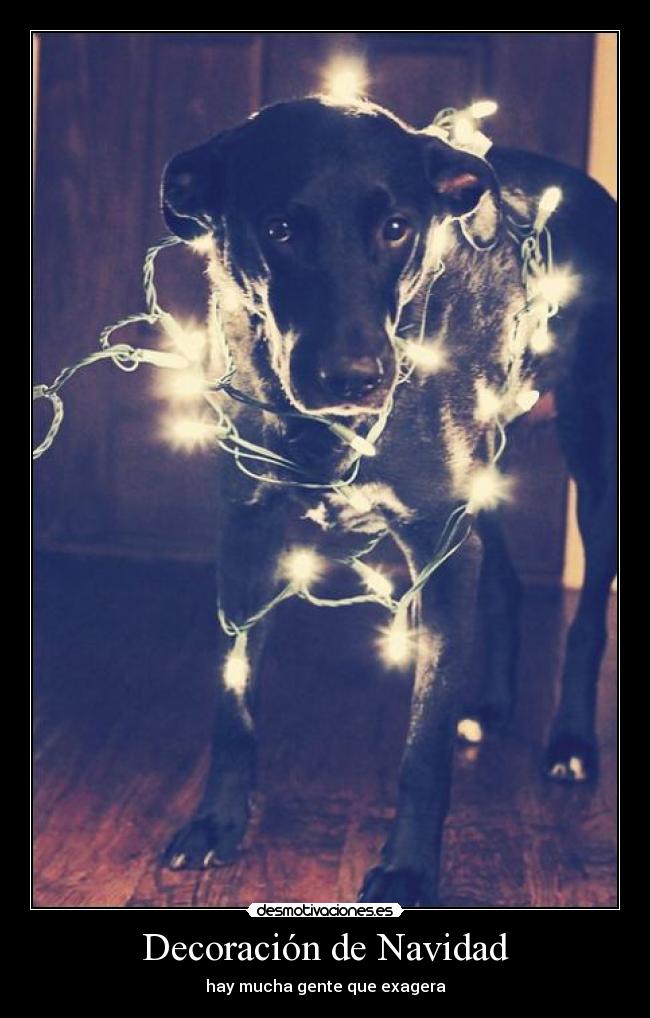 Decoración de Navidad -