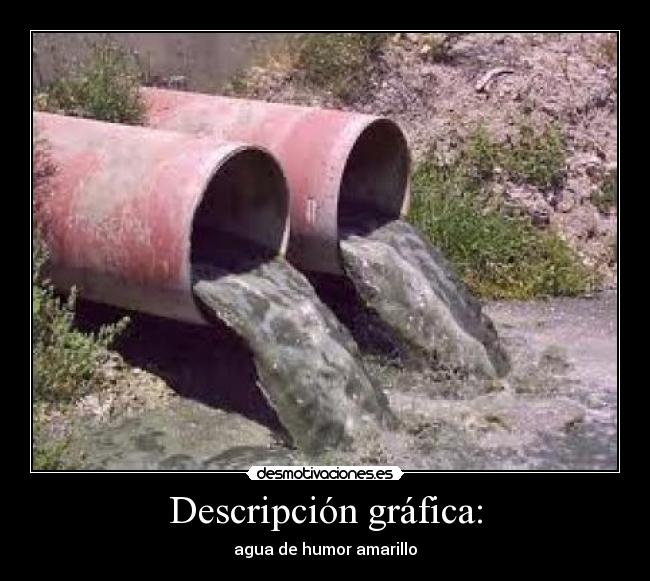 carteles chino cudeiro desmotivaciones