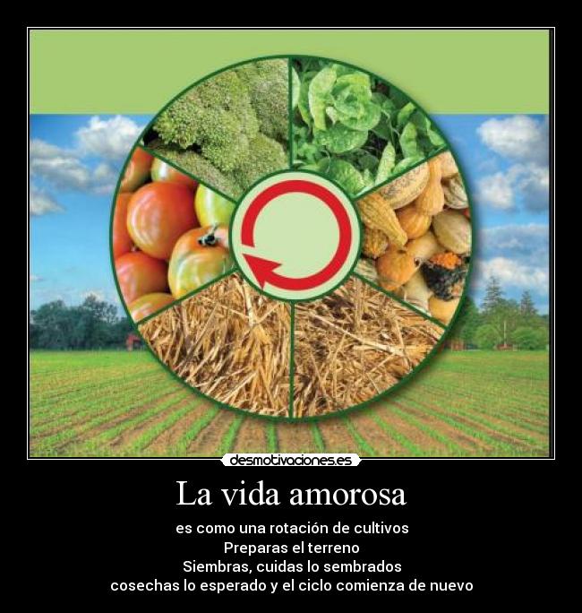 La vida amorosa - es como una rotación de cultivos
Preparas el terreno
Siembras, cuidas lo sembrados
cosechas lo esperado y el ciclo comienza de nuevo