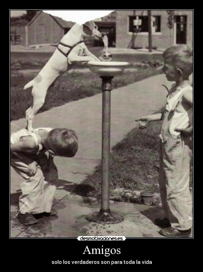Amigos - solo los verdaderos son para toda la vida