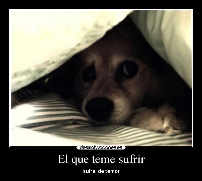 El que teme sufrir - sufre de temor