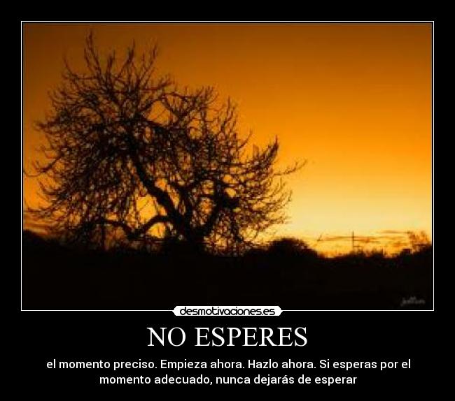 carteles desmotivaciones