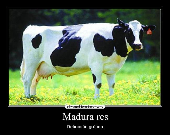 Madura res - Definición gráfica