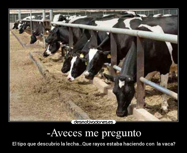 -Aveces me pregunto - El tipo que descubrio la lecha...Que rayos estaba haciendo con  la vaca?