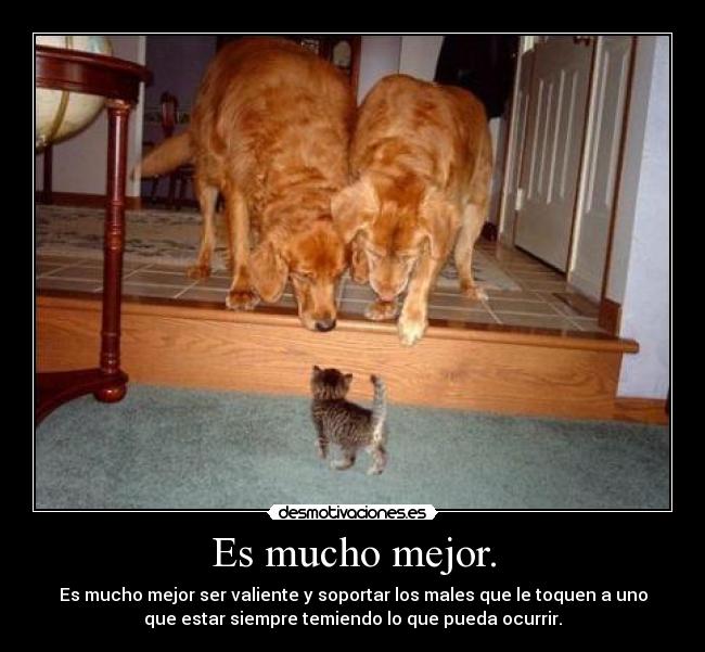 carteles valientes desmotivaciones