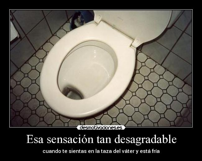 Esa sensación tan desagradable - cuando te sientas en la taza del váter y está fría