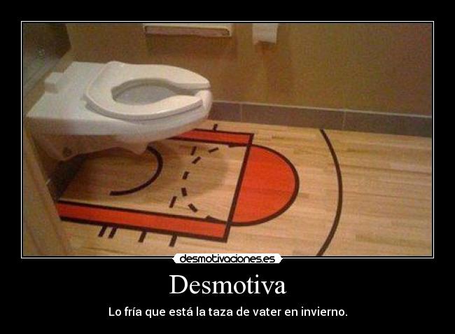 Desmotiva - Lo fría que está la taza de vater en invierno.