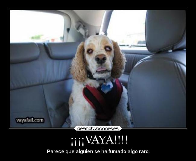 ¡¡¡¡VAYA!!!! - Parece que alguien se ha fumado algo raro.