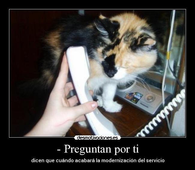 - Preguntan por ti - dicen que cuándo acabará la modernización del servicio
