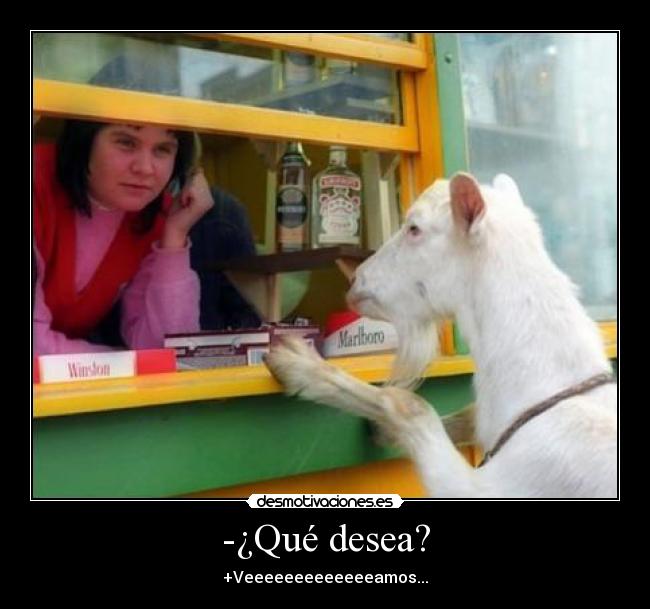 -¿Qué desea? - +Veeeeeeeeeeeeeamos...