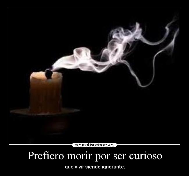 Prefiero morir por ser curioso -