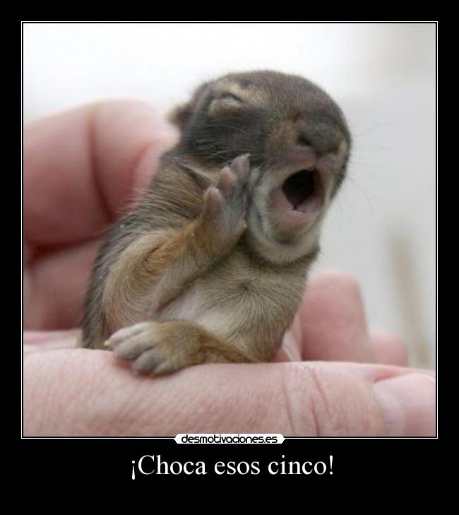 ¡Choca esos cinco! - 