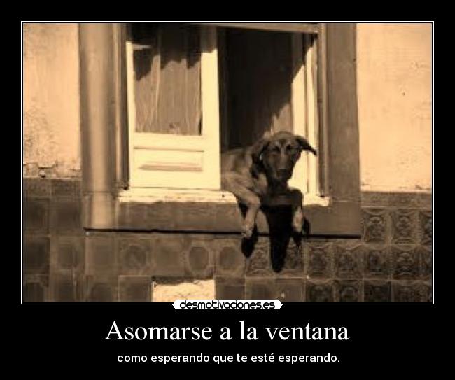 Asomarse a la ventana - como esperando que te esté esperando.