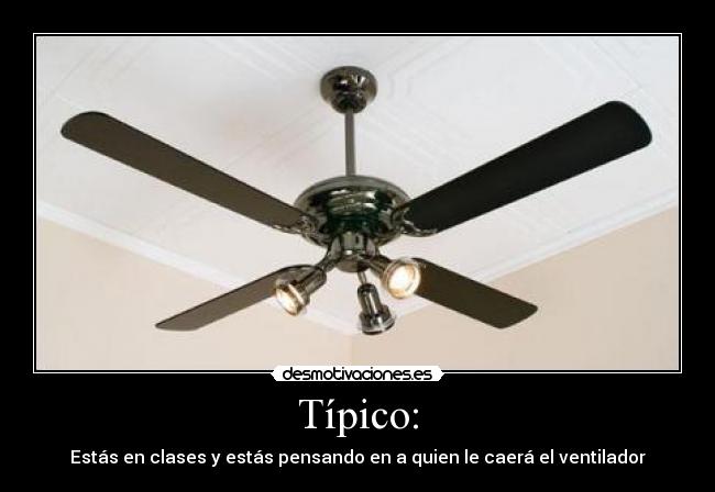 Típico: - 