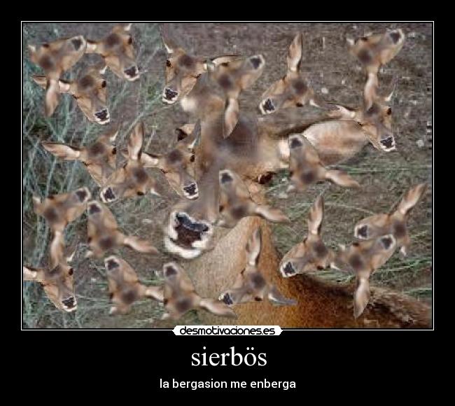 sierbös -