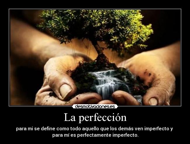 La perfección - para mi se define como todo aquello que los demás ven imperfecto y 
para mí es perfectamente imperfecto.