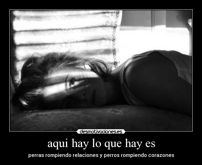 aqui hay lo que hay es -