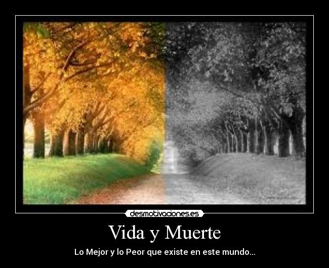 Vida y Muerte - Lo Mejor y lo Peor que existe en este mundo...