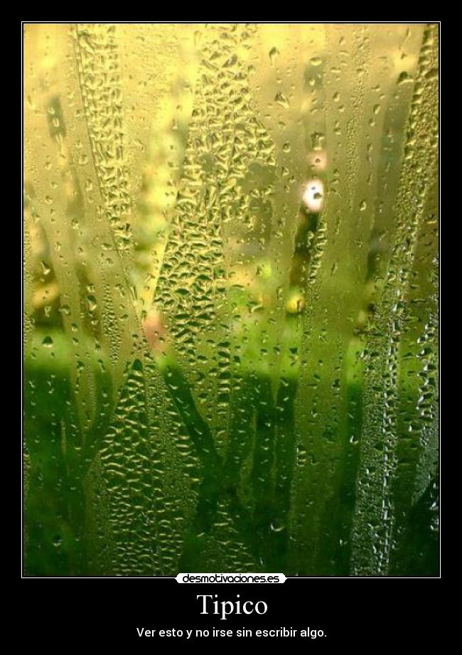 Tipico -