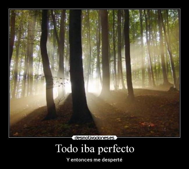 Todo iba perfecto - Y entonces me desperté