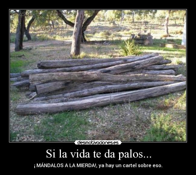 Si la vida te da palos... - 