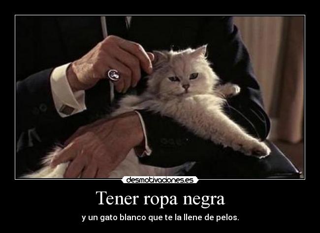Tener ropa negra - y un gato blanco que te la llene de pelos.