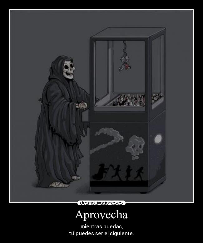 Aprovecha - mientras puedas,
tú puedes ser el siguiente.