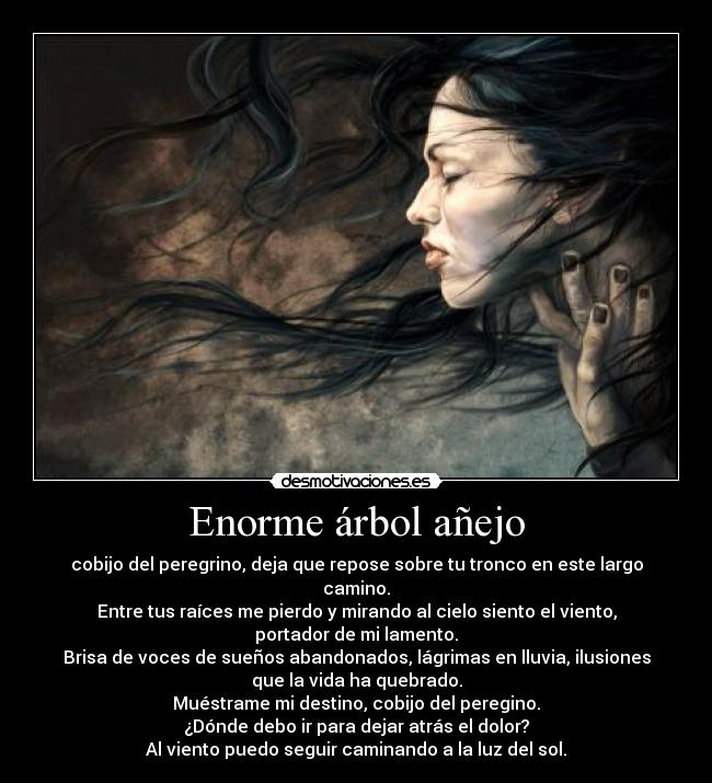 Enorme árbol añejo -