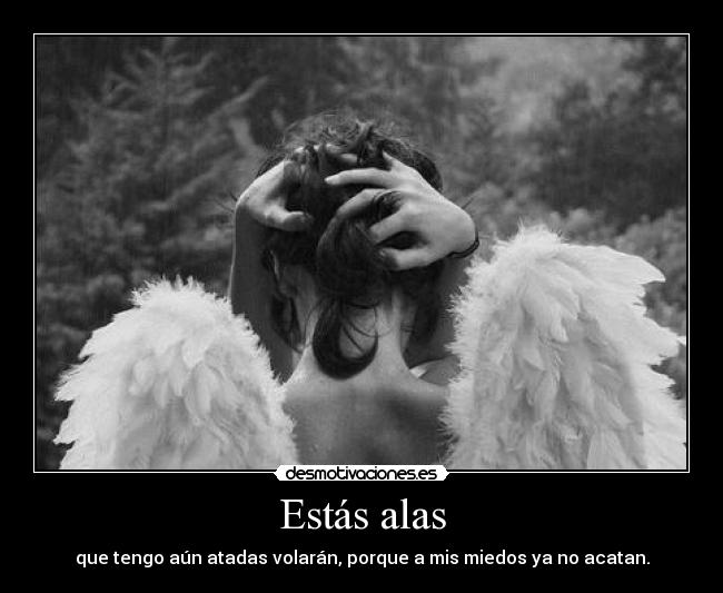 Estás alas - que tengo aún atadas volarán, porque a mis miedos ya no acatan.