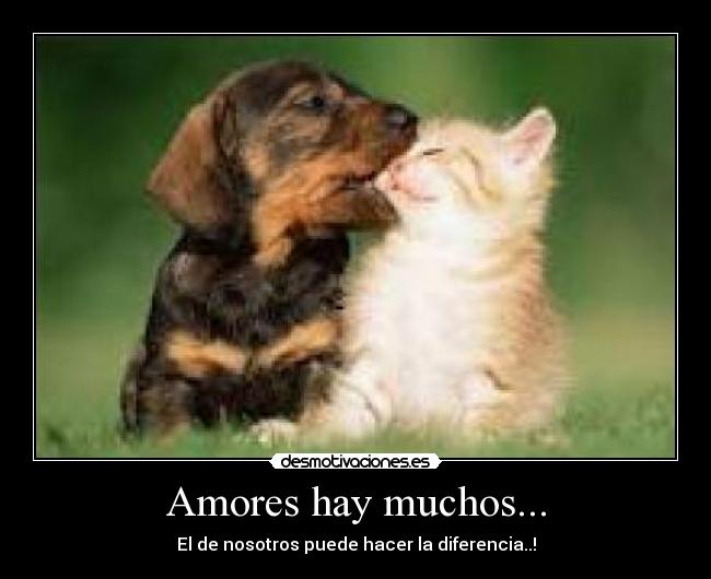 Amores hay muchos... - El de nosotros puede hacer la diferencia..!