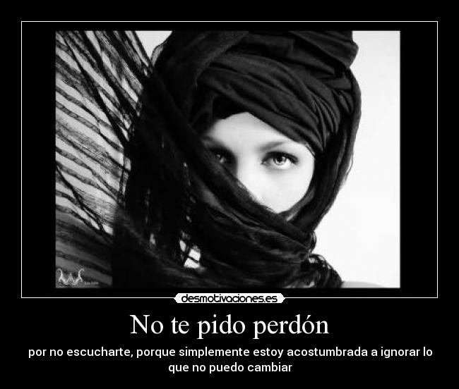 No te pido perdón - 