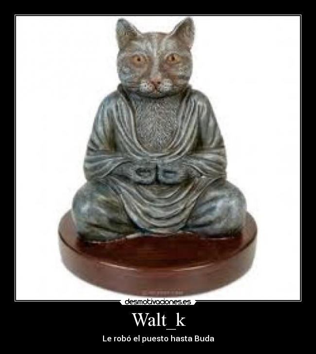 Walt_k - Le robó el puesto hasta Buda