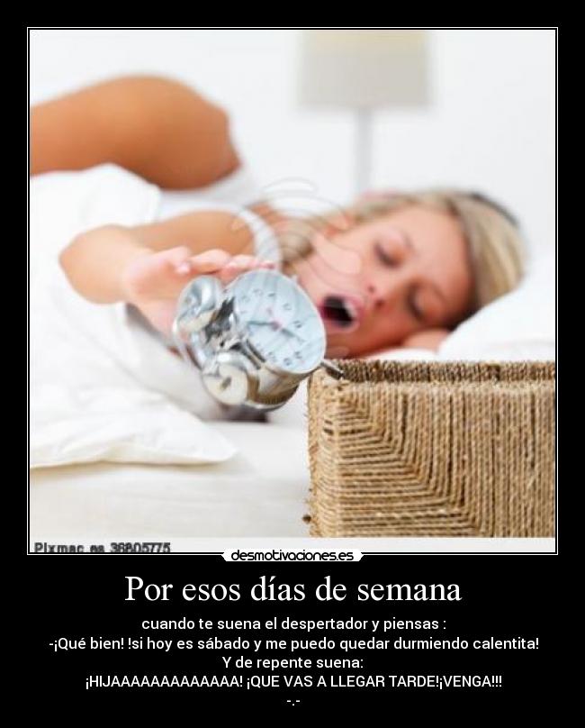 Por esos días de semana -